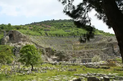 Wide view of the Great Theatre of Ephesus with semicircular stone seating, scattered ancient ruins, green vegetation, and trees.