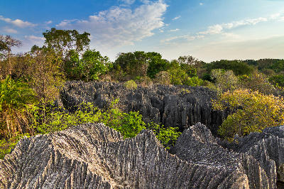 Limestone formations and dry forest landscapes of Little Tsingy in western Madagascar