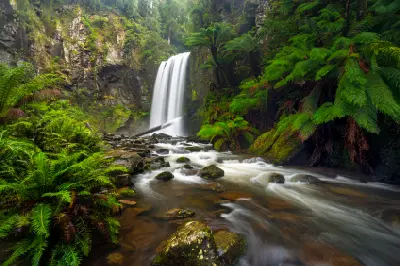 Hopetoun Falls surrounded by tree ferns and temperate rainforest in Great Otway National Park, Victoria.