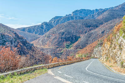 Road curving through fire-scarred mountain slopes in Tradouw Pass within the Langeberg range of the Western Cape, South Africa.