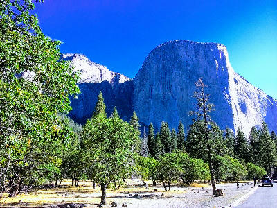 El Capitan Yosemite Valley from ground level with trees and meadow beneath granite cliff.