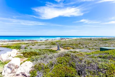 View across coastal fynbos and rocky shoreline toward the Indian Ocean at Cape Agulhas, South Africa.