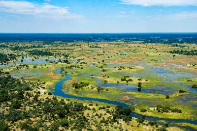 Aerial view of the winding river channels and floodplains of the Okavango Delta in Botswana.