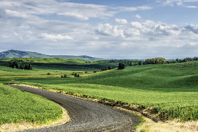 Soft early-summer light across the rolling agricultural hills and country roads of the Palouse region.