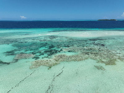 Aerial view of shallow reef flats near Muyuni Beach with Mnemba Island and Mnemba Atoll offshore, Zanzibar, Tanzania.