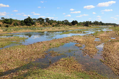 Braided channels of the Letaba River flowing across a wide floodplain in Kruger National Park under a blue sky with scattered clouds.