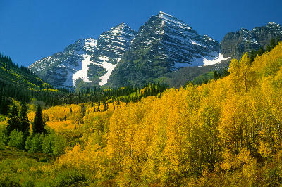 Maroon Creek Valley aspen forest with Maroon Bells Colorado autumn