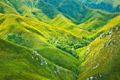 Rolling green ridges and fynbos-covered valleys in the Outeniqua Mountains of South Africa.