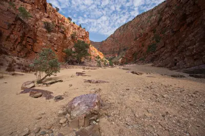 Broad sandy gorge floor winding between steep red rock walls with scattered eucalyptus trees at Ormiston Gorge.