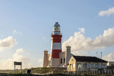 Cape Agulhas Lighthouse rising above coastal vegetation beneath warm evening light in South Africa.