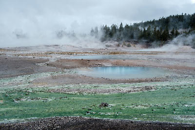 Porcelain Basin Norris Geyser Basin Yellowstone steaming hot spring pools geothermal landscape Wyoming USA