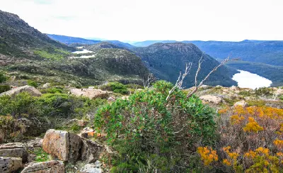 Tarn Shelf overlooking Seal Lake and rugged alpine mountains in Mount Field National Park, Tasmania.