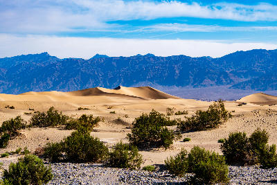 Mesquite Flat Sand Dunes with desert shrubs Death Valley California