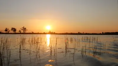 Sunset over the Khwai River with reeds reflected in calm water on the edge of Moremi Game Reserve, Botswana.