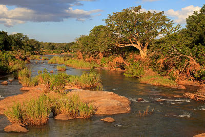 Warm evening light illuminating the Sabie River, granite boulders and riverine forest in Kruger National Park.