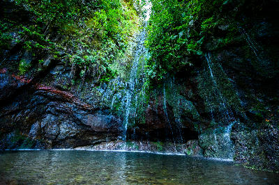 Small waterfalls cascading down a moss-covered rock wall into the lagoon at 25 Fontes in the Rabaçal valley on Madeira Island, Portugal.
