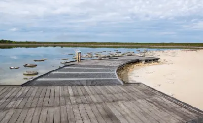 Boardwalk and viewing platform beside stromatolites in the shallow waters of Lake Thetis.
