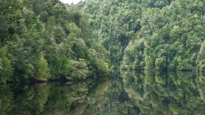 Dense temperate rainforest reflected in calm water on the Gordon River in western Tasmania, Australia.