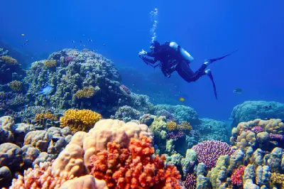 Scuba diver swimming above colourful coral and tropical fish on the Great Barrier Reef, Australia.
