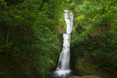 Bridal Veil Falls in the Columbia River Gorge flowing down a narrow two-tier cascade surrounded by lush green forest and moss-covered rock.