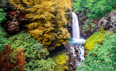 Palovit Waterfall cascading into a forested gorge surrounded by dense vegetation near Çamlıhemşin in Rize, Turkey.