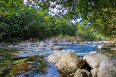 A wide, fast-flowing river rippling past large grey granite boulders under an overhanging canopy of green leaves.