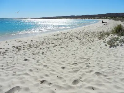 White sand and clear turquoise water along the sweeping shoreline of Turquoise Bay.