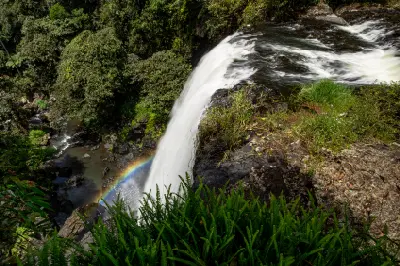 Elevated view of water cascading over the edge of Zillie Falls, with a rainbow in the spray, dark rocks and green ferns in Queensland, Australia.