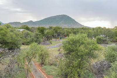 Camping area at Nqweba Camp in Camdeboo National Park with Karoo hills rising beyond the trees near Graaff-Reinet.
