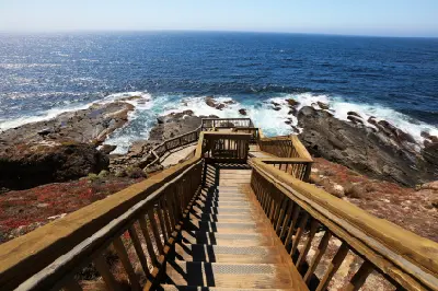 Wooden stairs and viewing platform above the rocky Southern Ocean coastline near Admirals Arch, Kangaroo Island.