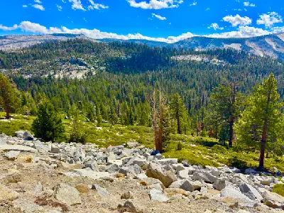 Granite boulders and pine forest overlooking Tenaya Canyon from Olmsted Point in Yosemite National Park.