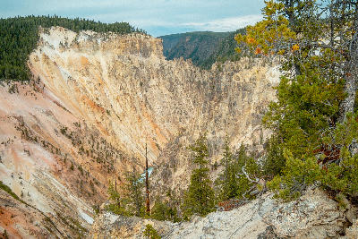 Wide view of the Grand Canyon of the Yellowstone from Lookout Point showing layered cliffs and the river below