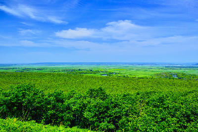 Wide elevated view across the green expanse of Kushiro Marsh from Hosooka Observatory, with patches of water and distant horizon under a blue sky.