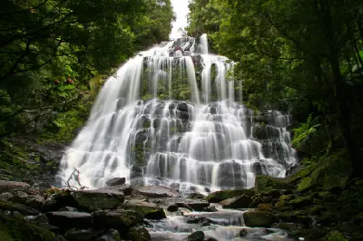 Nelson Falls cascading over tiered rock ledges surrounded by lush temperate rainforest in western Tasmania.