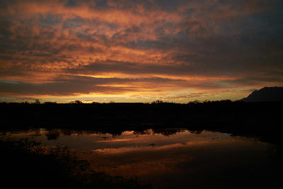 Sunset reflections over wetlands and open landscapes in Bontebok National Park near Swellendam, South Africa.