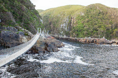 Suspension bridges spanning Storms River Mouth between rocky cliffs and forested gorge walls in Tsitsikamma National Park, South Africa.