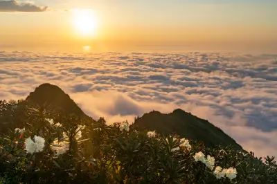 Golden sunset over a sea of clouds at Huser Plateau, with flowering rhododendrons and mountain ridges in the Kaçkar Mountains, Turkey.