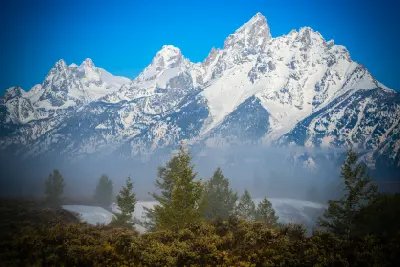 Snow-covered Teton Range rising above a layer of fog with foreground trees, seen from Snake River Overlook, Grand Teton National Park, Wyoming.