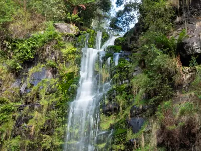 Erskine Falls cascading over moss-covered rock in Great Otway National Park near Lorne, Victoria.