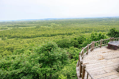 Elevated wooden observation deck overlooking the expansive green wetlands of Kushiro Marsh in Hokkaido, Japan.