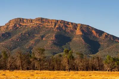Sunlit sandstone cliffs of Wilpena Pound above golden grassland and eucalyptus trees in the Flinders Ranges, South Australia.