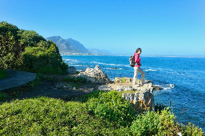 Woman standing on coastal rocks along the Hermanus Cliff Path in South Africa, overlooking the blue waters of Walker Bay with mountains and fynbos vegetation in the background.