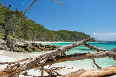 Weathered driftwood frames white sand and clear turquoise water along the forested shoreline of Murrays Beach.