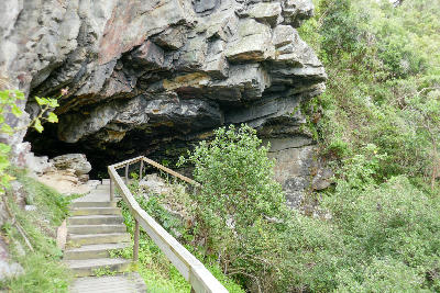 Wooden trail leading beneath a large rock overhang in the indigenous forests of Tsitsikamma National Park, South Africa.
