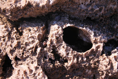 Close-up of salt cavity and porous rock formation at Devils Golf Course in Death Valley National Park California