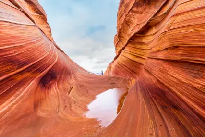 Hiker standing within curved layered sandstone walls at The Wave Coyote Buttes North Arizona