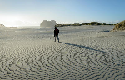 Wharariki Beach, Golden Bay, South Island, New Zealand