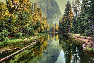 Calm river flowing through pine forest in Yosemite Valley with granite cliffs rising in the background, California.