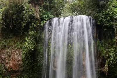 Close view of water cascading over the broad rock face of Millaa Millaa Falls in tropical rainforest, Queensland.