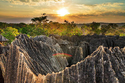 Sunset light across the limestone pinnacles of Little Tsingy in Tsingy de Bemaraha, Madagascar